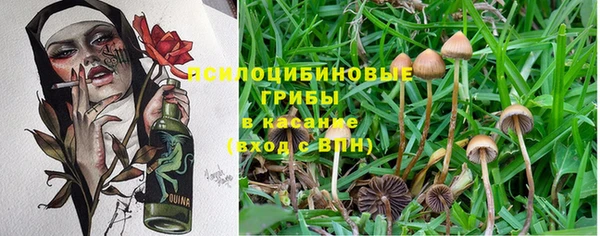 гидра Алексин