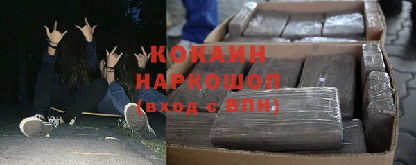 гидра Алексин