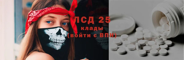 PSILOCYBIN Абаза