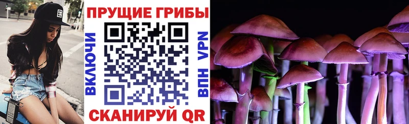 маркетплейс телеграм  Кохма  Псилоцибиновые грибы Psilocybe 